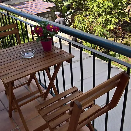 马德拉圣玛丽亚公寓 丰沙尔